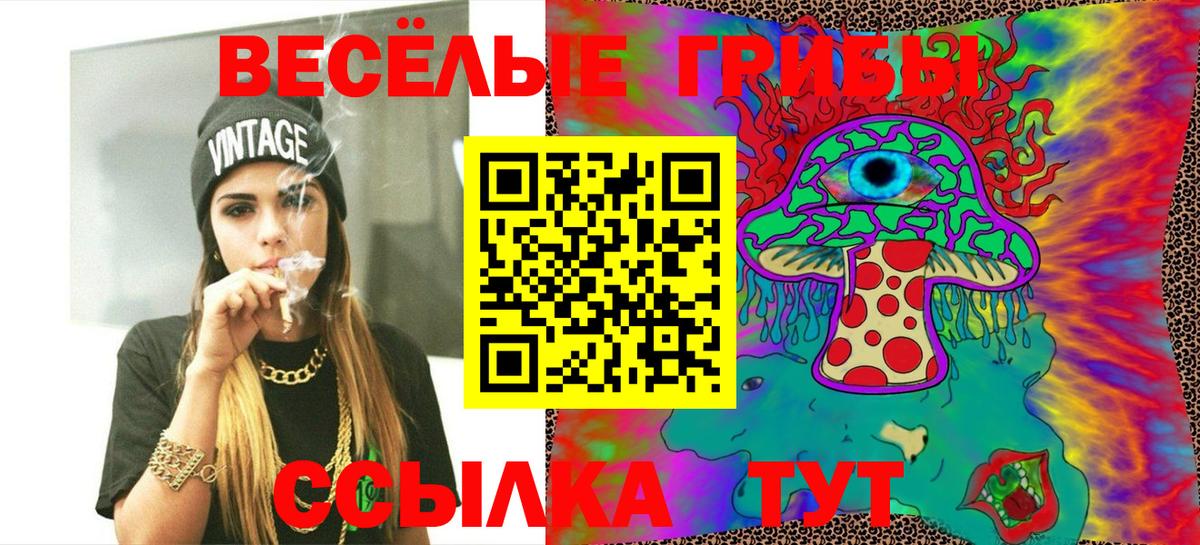 Галлюциногенные грибы Psilocybine cubensis  Вход с VPN  Каменск-Уральский 